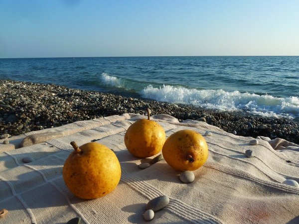 Адлер море мандарин