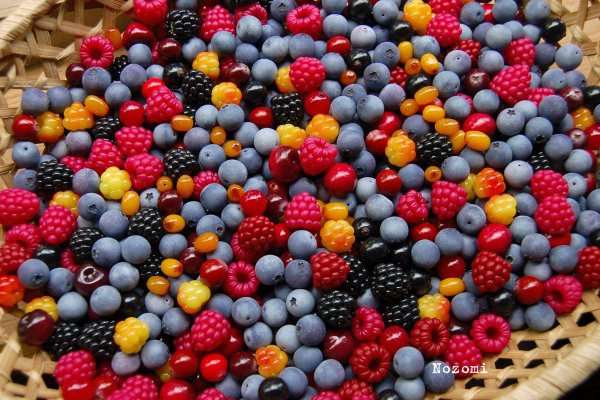 Морские ягоды