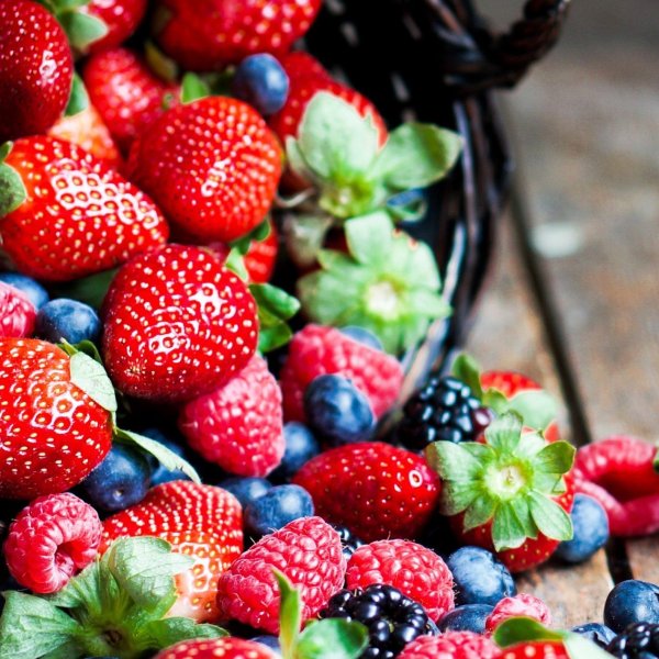 Крым виноградники у моря