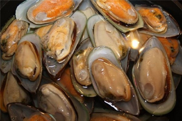 Двустворчатые моллюски мидии