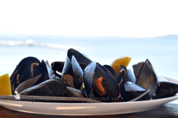 Мидии в море