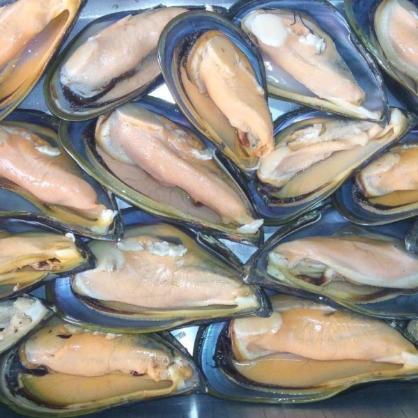 Мидии дальневосточные