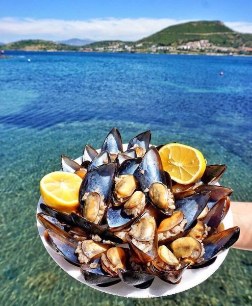 Мидии мидии морские мидии морские мидии