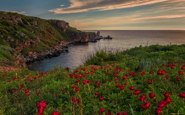 Болгария сарматское море пейзаж