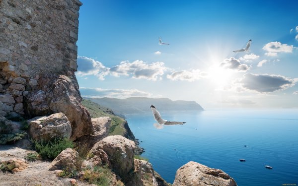 Скала Чайка Алупка