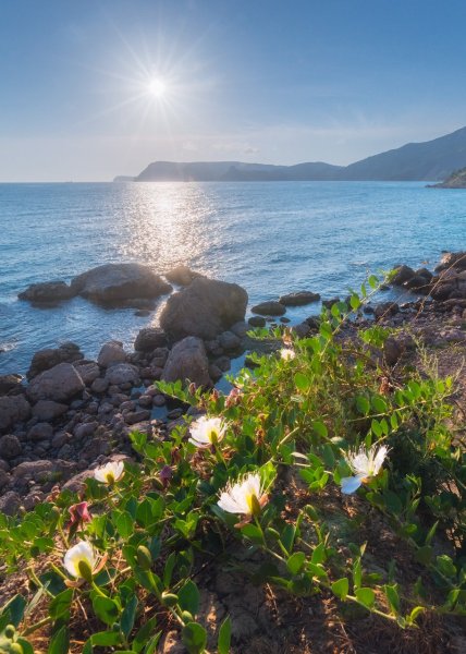 Природа Крыма