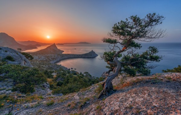 Берег Крыма горы сосны