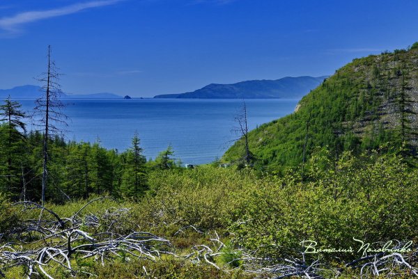 Бухта Нагаевская Охотское море