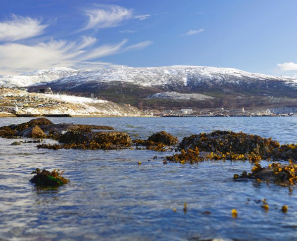 Сахалин побережье Охотского моря