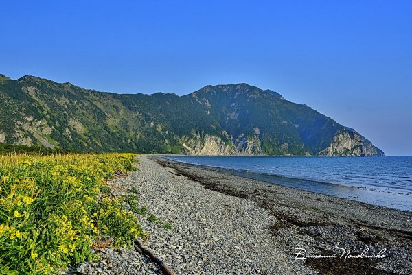 Охотское море Магадан