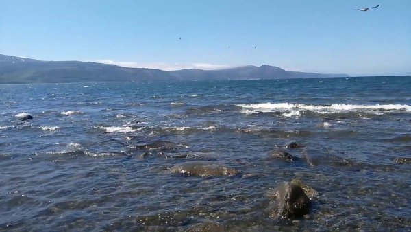 Охотское море бухта Нагаева