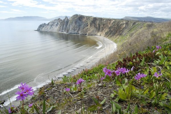 Бухта Нагаевская Охотское море