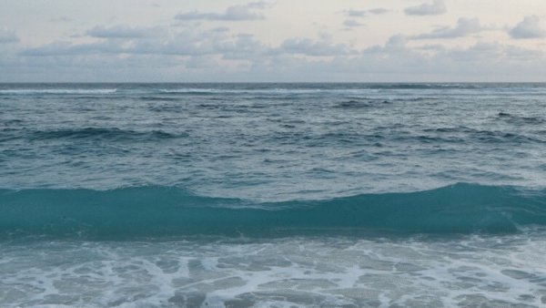 Анимированное море