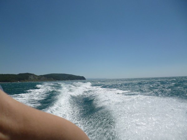 Джубга 2022 черное море