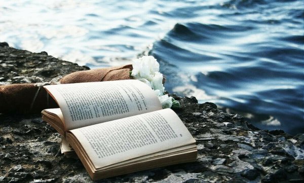 Книга на фоне моря