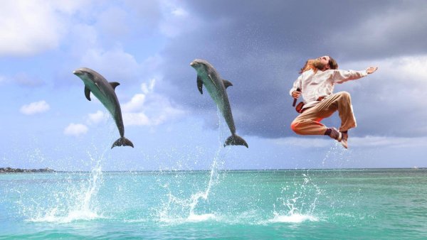 Дельфины выпрыгивают из воды