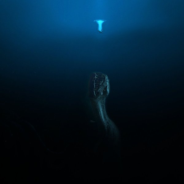 Талассофобия боязнь моря