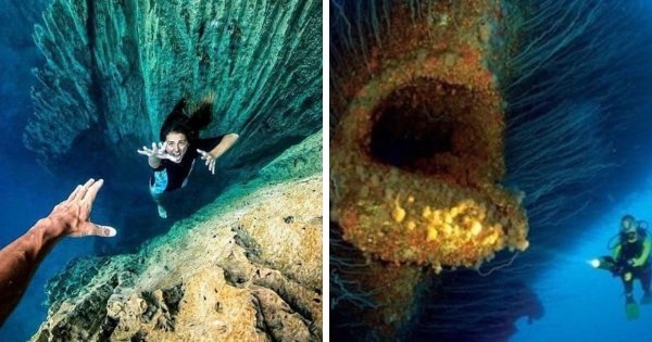 Блуп Морское чудовище