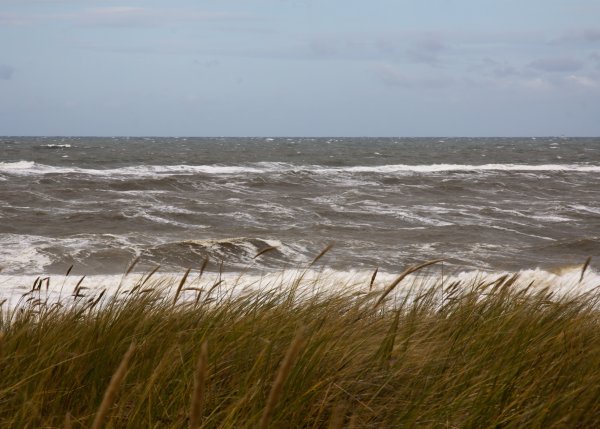Побережье Северного моря Нидерланды