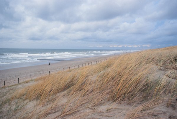 Северное море Голландия