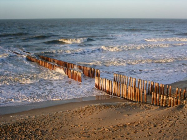 Побережье Нидерландов