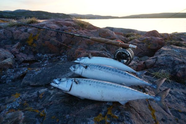Териберка Мурманская рыбалка
