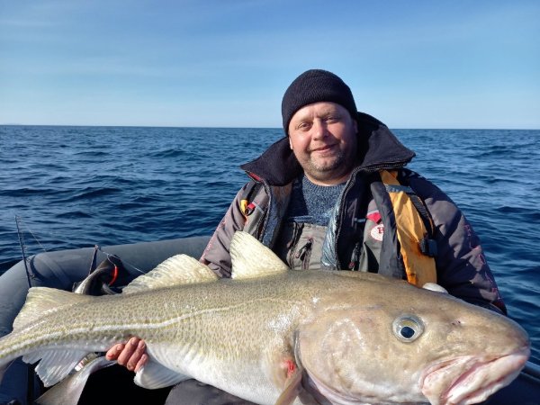 Окунь морской