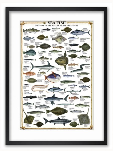 Териберка Мурманская рыбалка