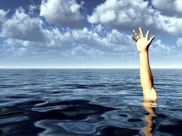 Спасибо за внимание для презентации