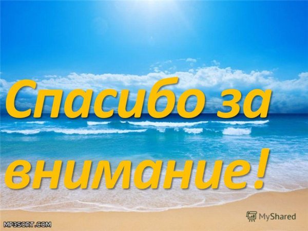 Спасибо за внимание с дельфином