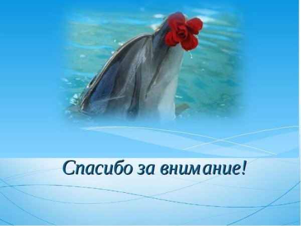 Спасибо за внимание для презентации море