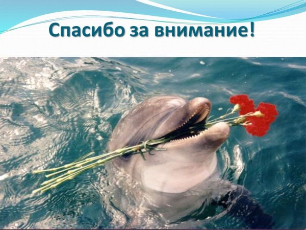 Благодарю за внимание