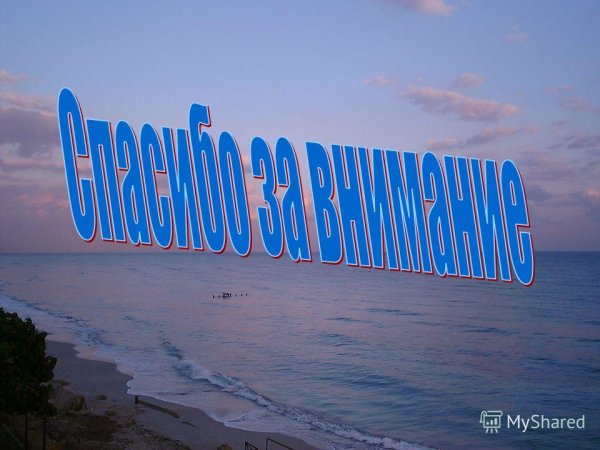 Картинки спасибо с морем