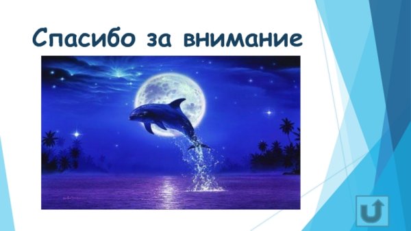 Спасибо за внимание для презентации