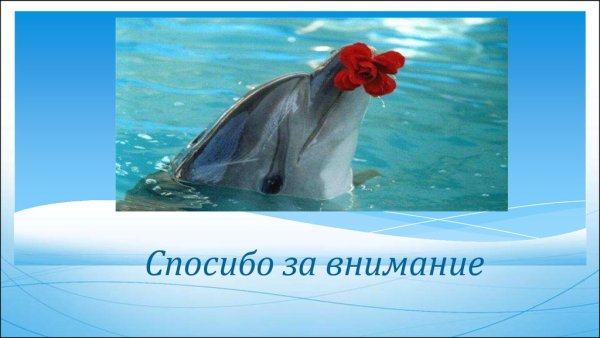 Спасибо за внимание море