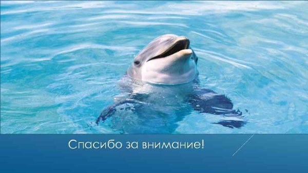 Гидросфера водная оболочка земли