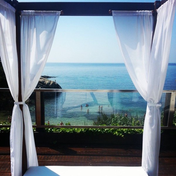 ... Blair Hollingsworth