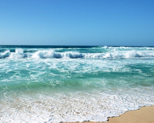 Море пальмы дельфины