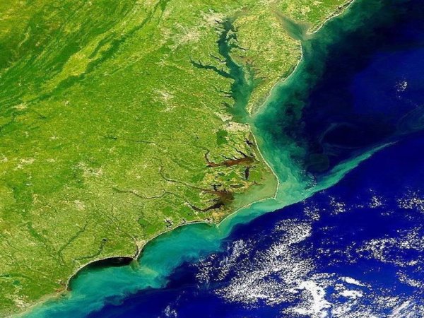 Шельф океана