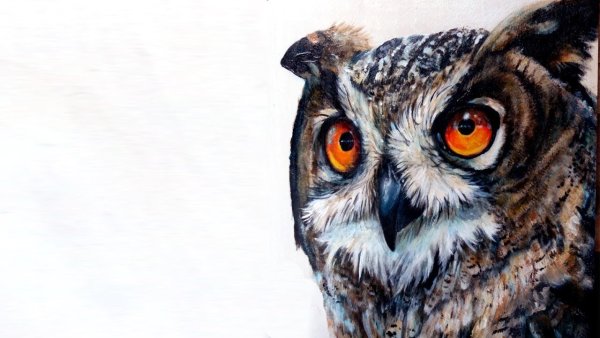 Унылая Сова