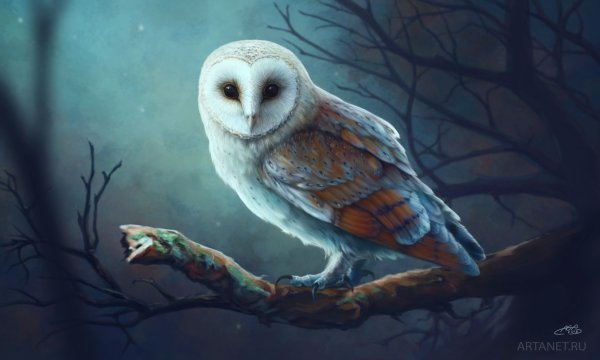 Легенды ночных стражей мультфильм 2010