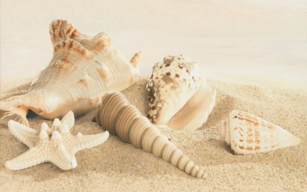 Amalfi Sand плитка