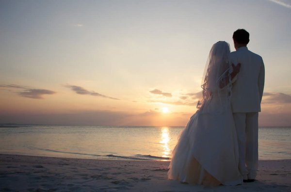 Молодожены со спины