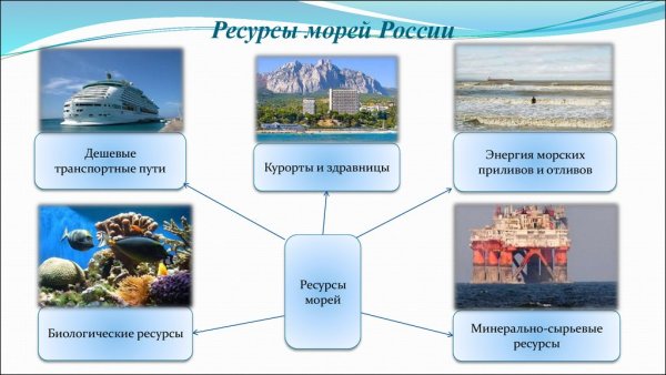 Дно мирового океана