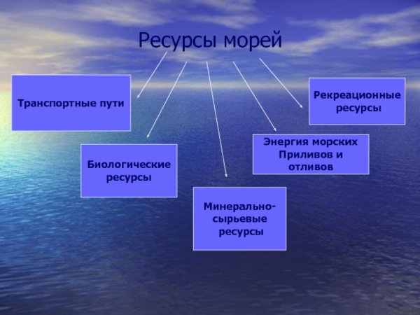 Марса Алам подводный мир