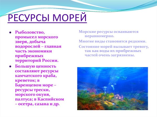 Схема ресурсы морей России