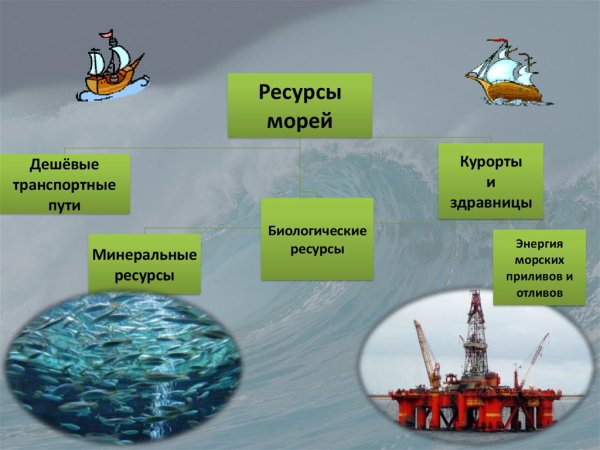 Ресурсы морей России 8 класс география