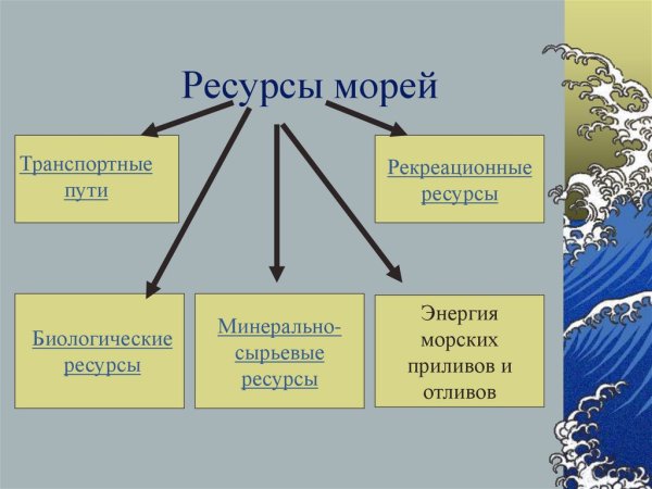 Биологические ресурсы морей
