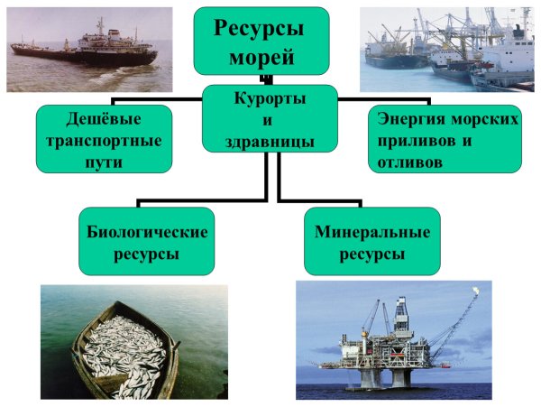 Ресурсы морей России 8 класс