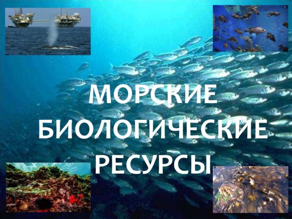 Водные биологические ресурсы